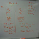 anion notes